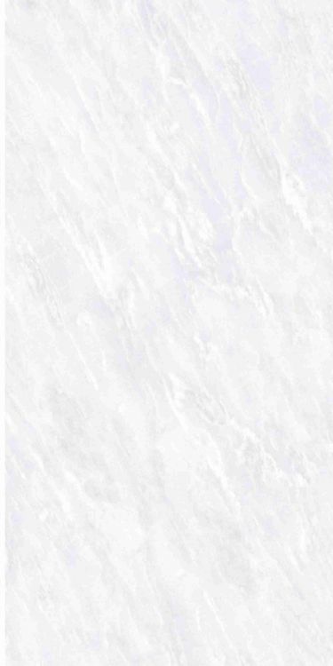 OL Vivid White Matte 12 x 24
